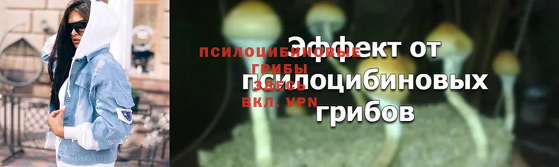 площадка официальный сайт  Карталы  Галлюциногенные грибы Magic Shrooms 